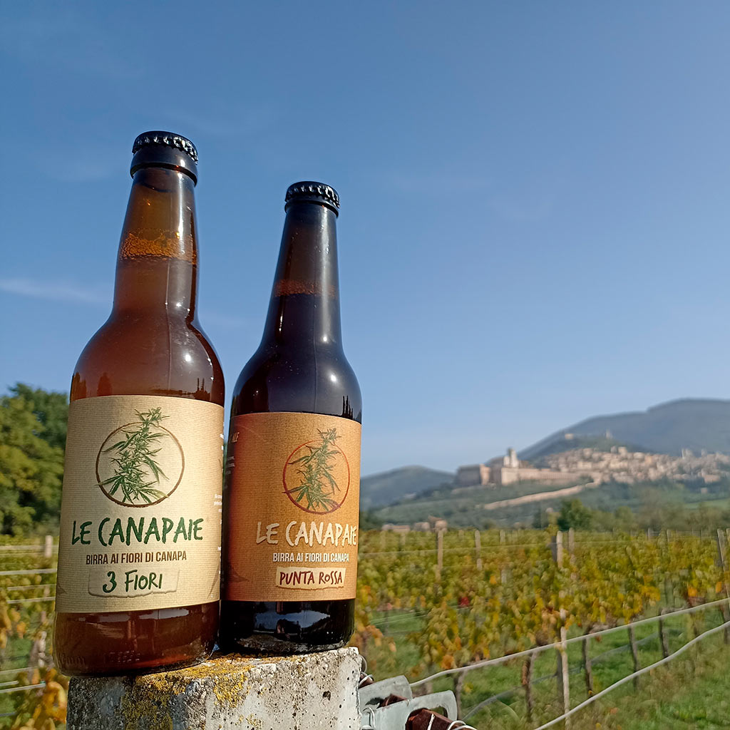 Le Canapaie - Le nostre birre